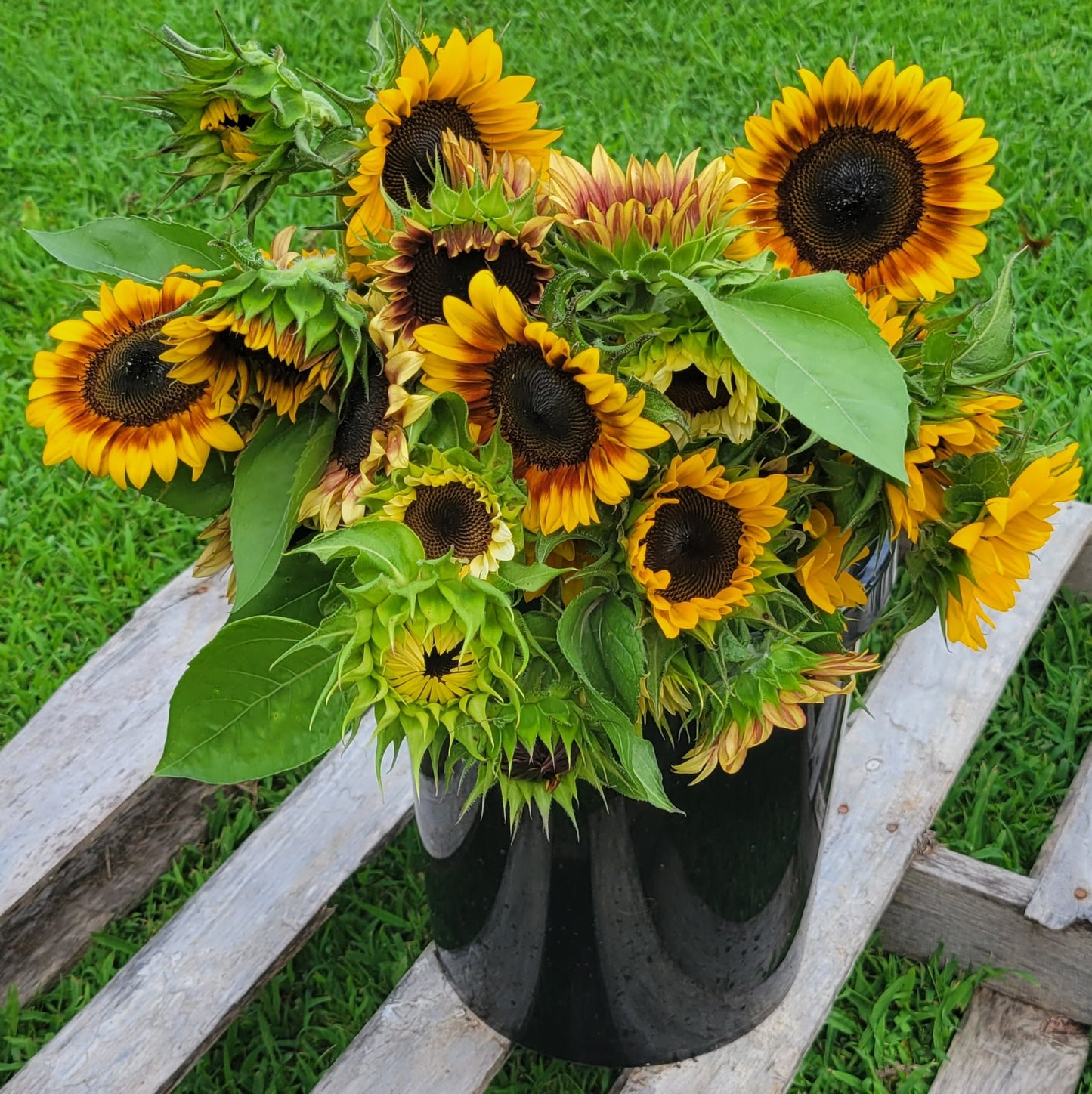Sunflower Bouquet